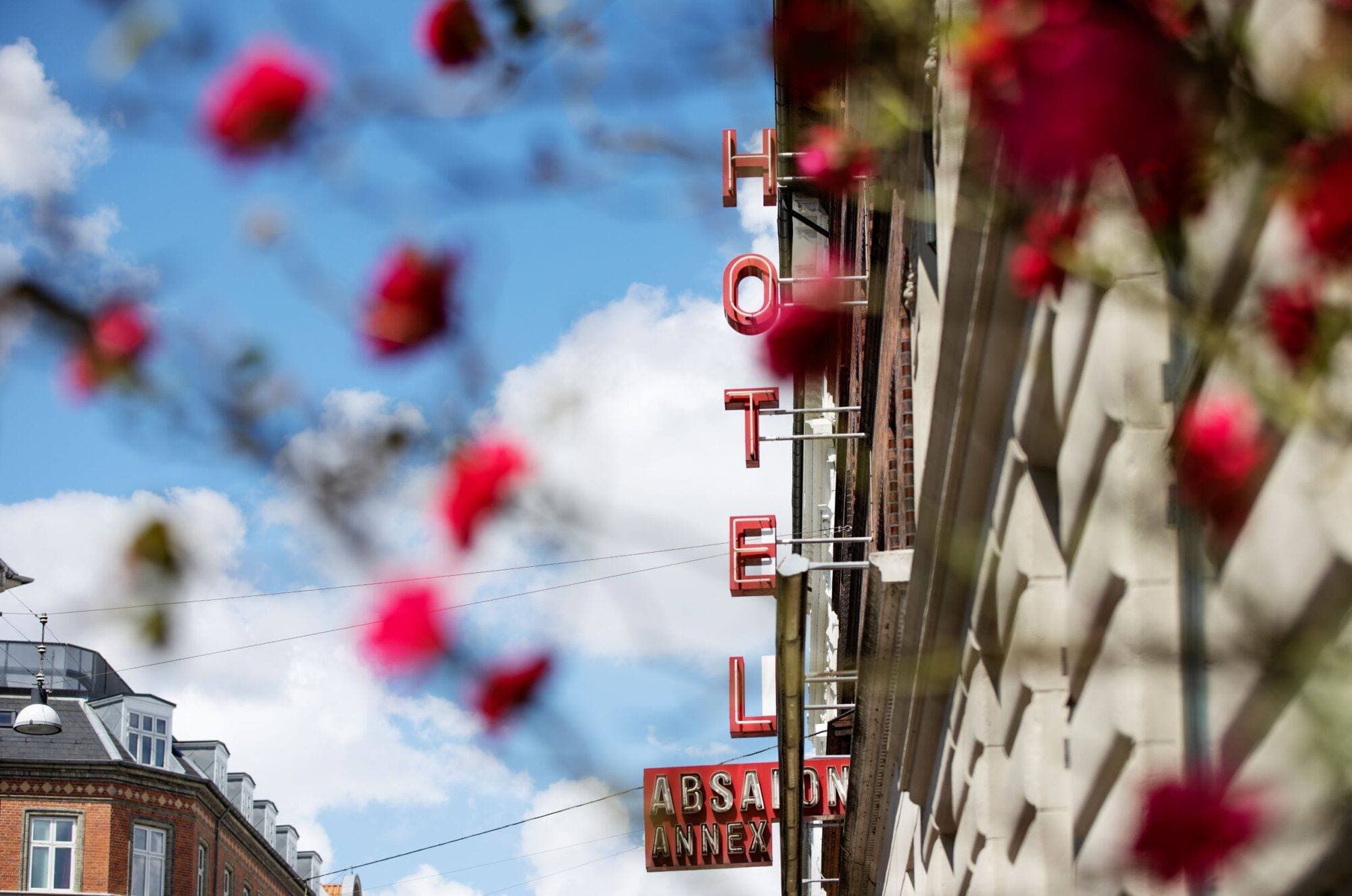 Absalon and Annex Copenhagen signs in Vesterbro