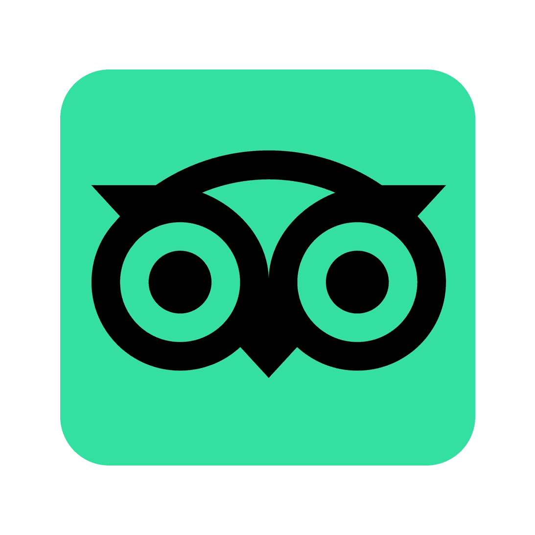 TripAdvisor logo